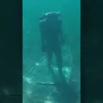 Descubre la magia del buceo en los lagos alpinos de Austria: una experiencia imperdible de turismo acuático