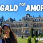 Descubre el impresionante Palacio de Schloss Hof en Viena: una joya turística para tu próximo viaje