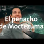 Turismo médico: Descubre la fascinante historia de la medicina en Viena, Austria